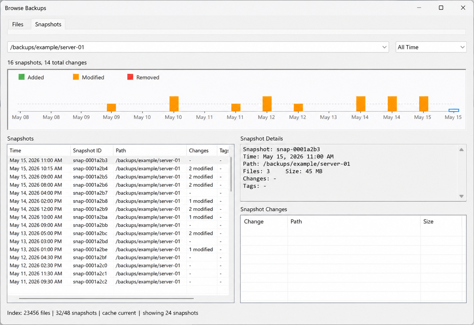Snapshot preview